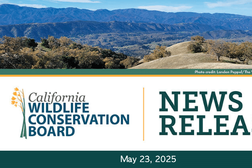 Wildlife Conservation Board Awards $59.5 Million in Grants to 25 Habitat Conservation and Restoration Projects